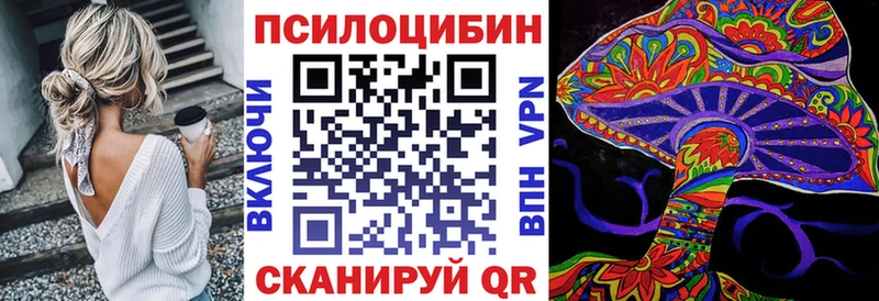 Псилоцибиновые грибы Cubensis Байкальск