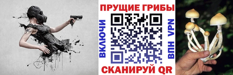 Галлюциногенные грибы мицелий  Байкальск 